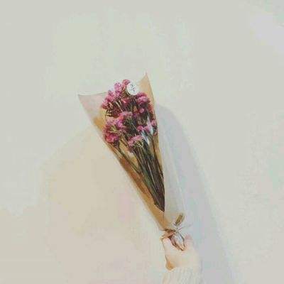 魂器学院华为服下载